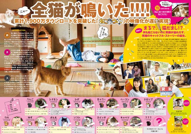 映画『ねこあつめの家』の画像（3枚目）