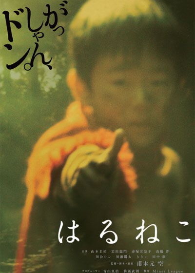 映画『はるねこ』の画像（3枚目）