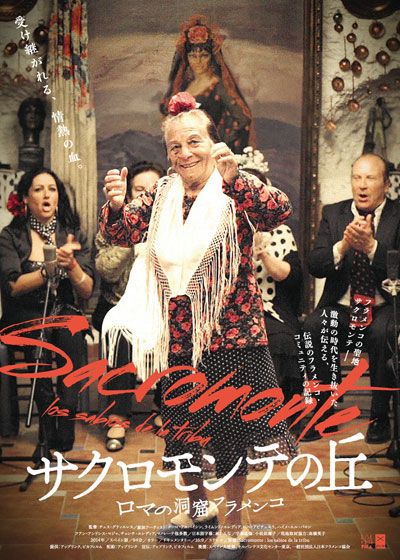 映画『サクロモンテの丘～ロマの洞窟フラメンコ』の画像（2枚目）