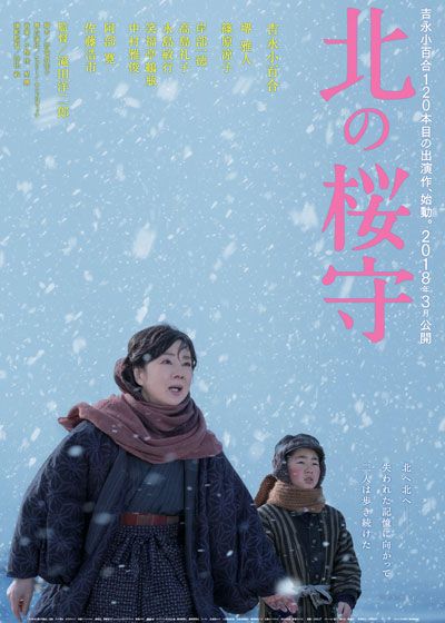 映画『北の桜守』の画像（2枚目）