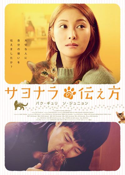 映画『サヨナラの伝え方』の画像（2枚目）