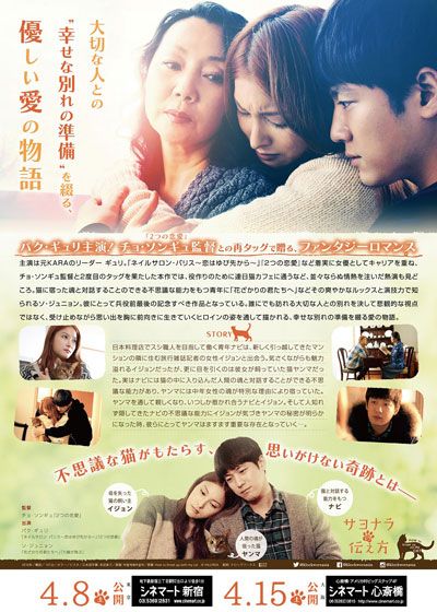 映画『サヨナラの伝え方』の画像（3枚目）