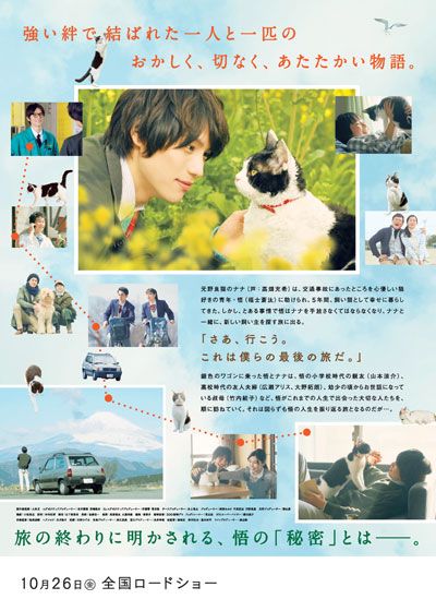 映画『旅猫リポート』の画像（3枚目）