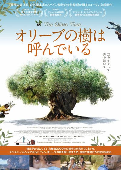 映画『オリーブの樹は呼んでいる』の画像（2枚目）