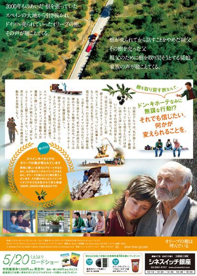 映画『オリーブの樹は呼んでいる』の画像（3枚目）