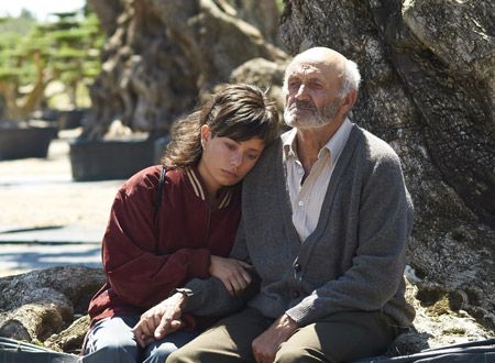 オリーブの樹は呼んでいる