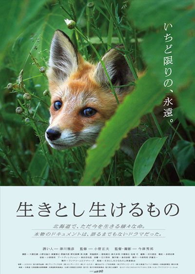 映画『生きとし生けるもの』の画像（2枚目）