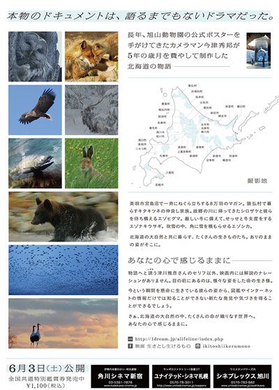 映画『生きとし生けるもの』の画像（3枚目）