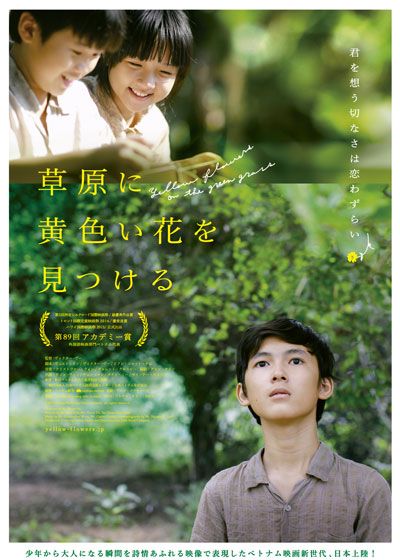 映画『草原に黄色い花を見つける』の画像（2枚目）