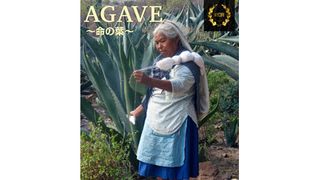 AGAVE ~命の葉~