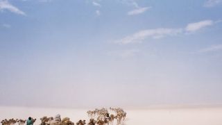 Caravan to the Future