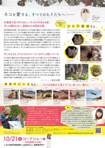 映画『劇場版　岩合光昭の世界ネコ歩き　コトラ家族と世界のいいコたち』の画像（3枚目）