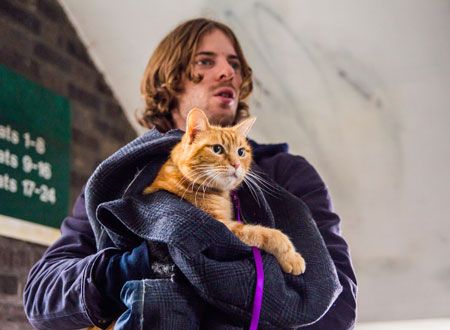 映画『ボブという名の猫　幸せのハイタッチ』の画像（4枚目）