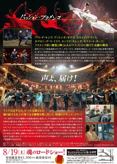 映画『パッション・フラメンコ』の画像（3枚目）