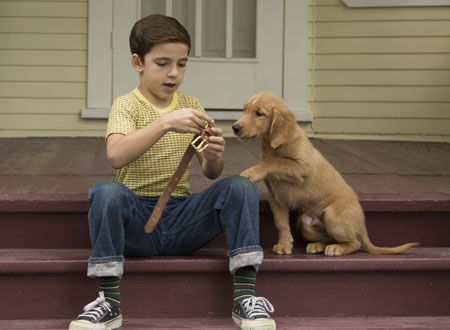 映画『僕のワンダフル・ライフ』の画像（5枚目）