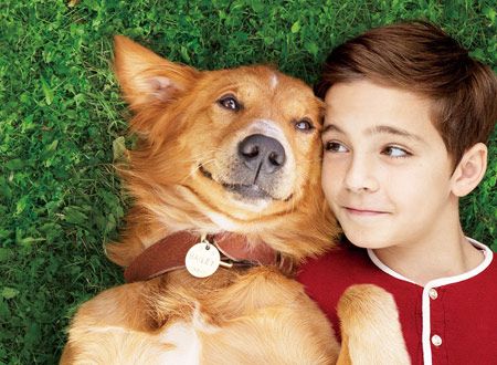 僕のワンダフル・ライフ