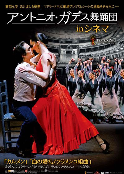 映画『アントニオ・ガデス舞踊団 in シネマ「血の婚礼／フラメンコ組曲」』の画像（2枚目）
