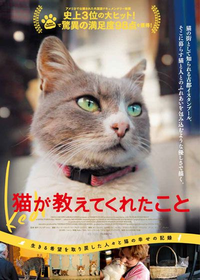 映画『猫が教えてくれたこと』の画像（2枚目）