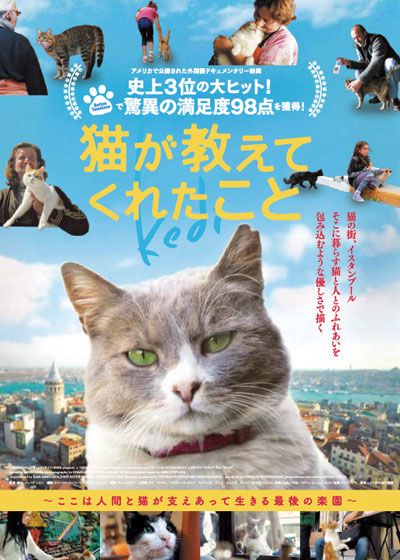 映画『猫が教えてくれたこと』の画像（3枚目）