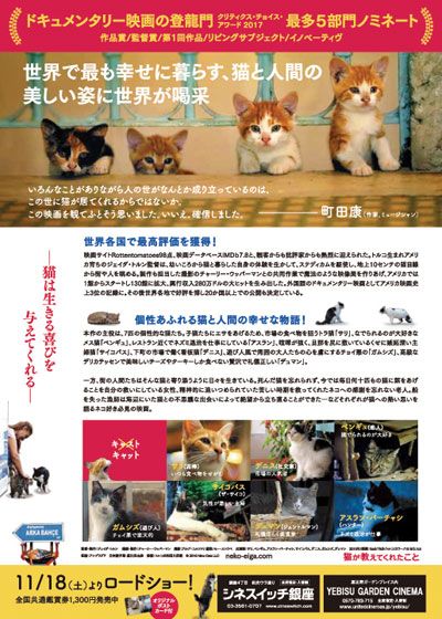 映画『猫が教えてくれたこと』の画像（4枚目）