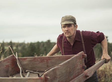 映画『しあわせの絵の具　愛を描く人　モード・ルイス』の画像（6枚目）