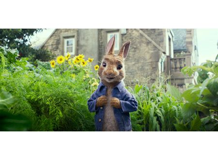 映画『ピーターラビット』の画像（8枚目）