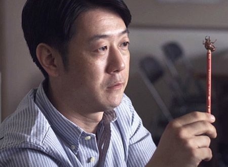 千里眼（CICADA）