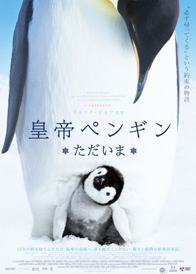 皇帝ペンギン　ただいま