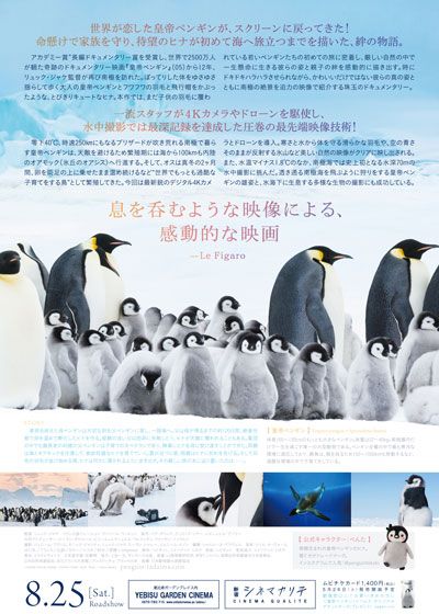 皇帝ペンギン　ただいま