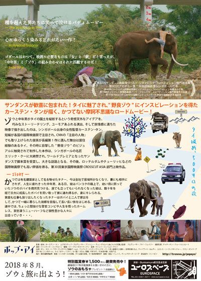 映画『ポップ・アイ』の画像（3枚目）