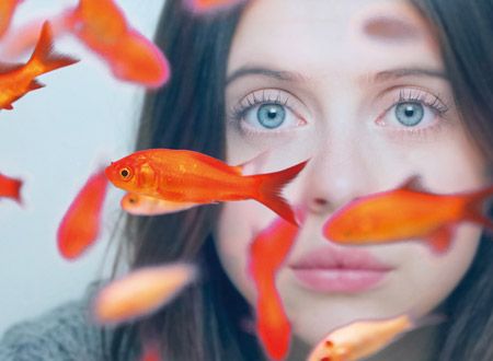 マイ・プレシャス・リスト