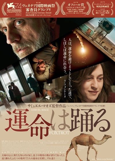 映画『運命は踊る』の画像（2枚目）