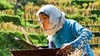 あまねき旋律（しらべ）