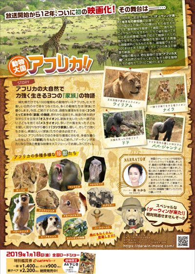 映画『劇場版　ダーウィンが来た！アフリカ新伝説』の画像（4枚目）