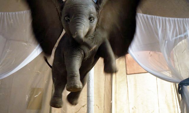 映画『ダンボ』の画像（4枚目）