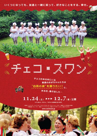 映画『チェコ・スワン』の画像（2枚目）