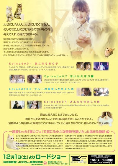 映画『猫カフェ』の画像（3枚目）