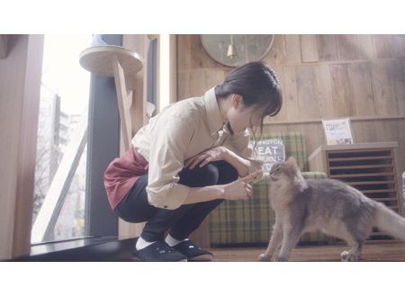 猫カフェ