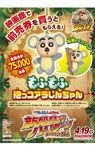 もふもふ抱っコアラしんちゃん