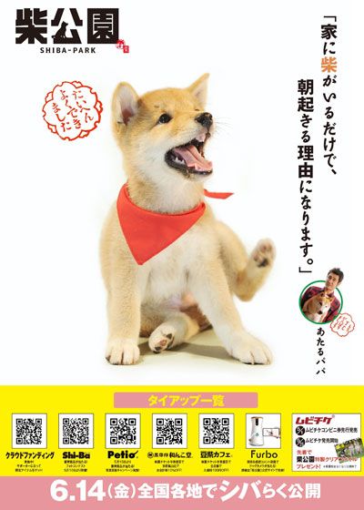 映画『柴公園』の画像（4枚目）