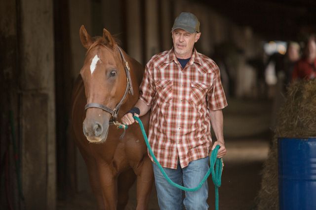 映画『荒野にて』の画像（4枚目）