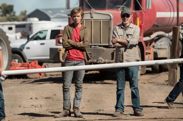 映画『荒野にて』の画像（5枚目）