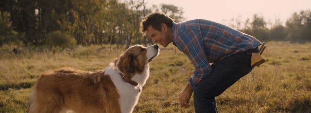 映画『僕のワンダフル・ジャーニー』の画像（2枚目）