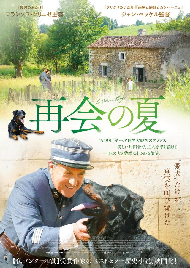 映画『再会の夏』の画像（2枚目）