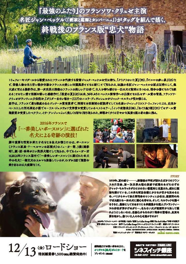 映画『再会の夏』の画像（3枚目）