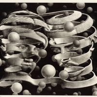 エッシャー　視覚の魔術師