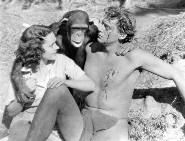 映画『類猿人ターザン』の画像（3枚目）