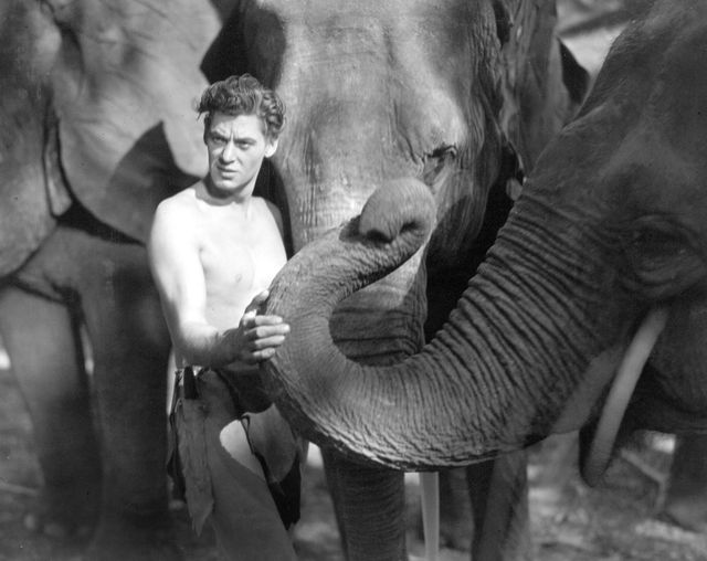 映画『類猿人ターザン』の画像（4枚目）