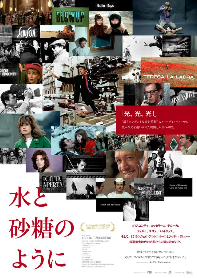 映画『水と砂糖のように』の画像（2枚目）