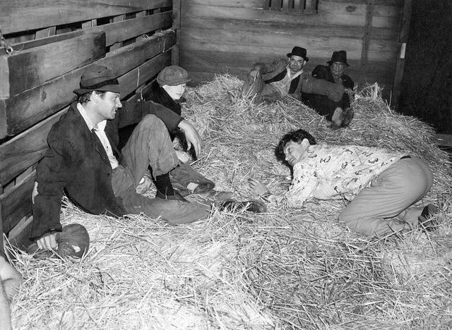 映画『サリヴァンの旅』の画像（4枚目）